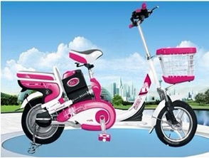 品牌電動車經(jīng)典簡易款排名