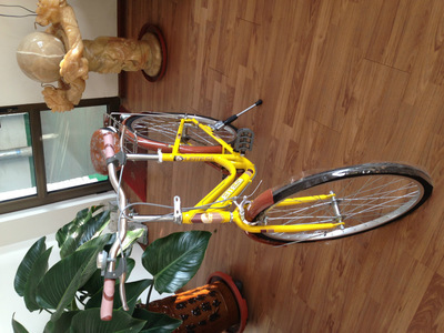 【天津市濮琪自行車(chē)】?jī)r(jià)格,廠(chǎng)家,圖片,自行車(chē),天津市濮琪自行車(chē)-