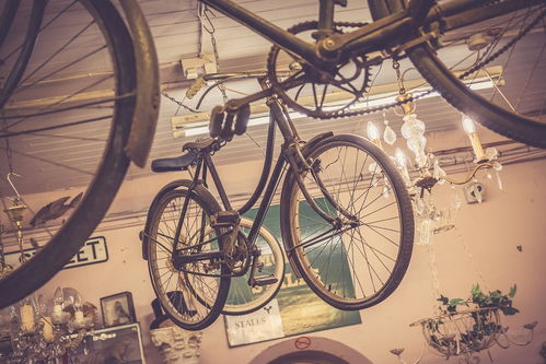 電動自行車 點綴街頭的靚麗風(fēng)景線